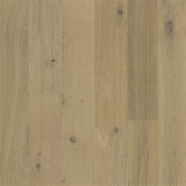 Plancher De Bois D'ingénierie Chêne Blanchi Par Home Inspired Floors De 6 1/2 Po L. En Chêne (23,11 pi²) 1 Plancher De Bois D'ingénierie Chêne Blanchi Par Home Inspired Floors De 6 1/2 Po L. En Chêne (23,11 pi²)